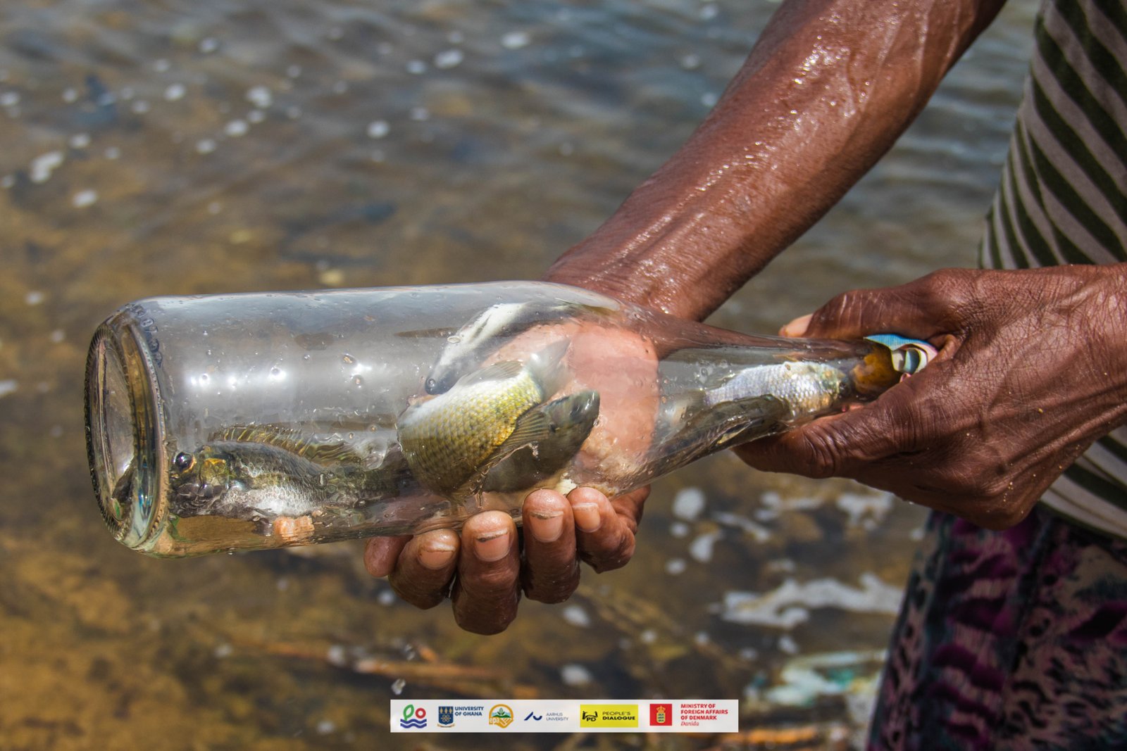 Within The Eastern And Central Coasts Of Ghana, Women Rely On Climate Change And Health Threatened Natural Resources, Including Rivers As A Source Of Livelihood.